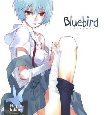 bluebird cover