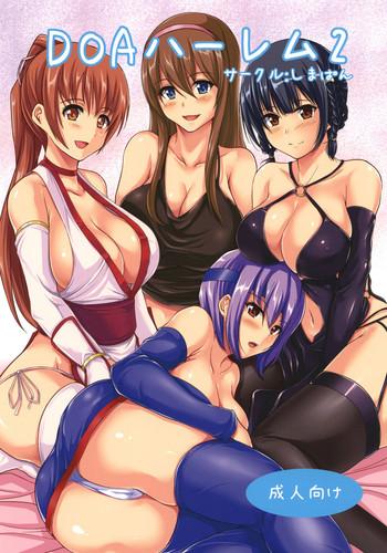 doa harem 2 cover 1