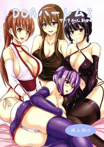 doa harem 2 cover 2