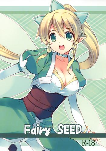 fairy seed cover 1
