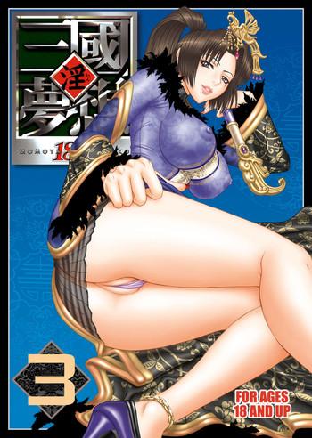 in sangoku musou 3 cover 1