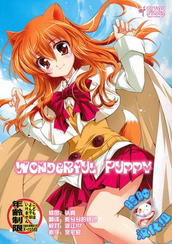wonderful puppy cover 1