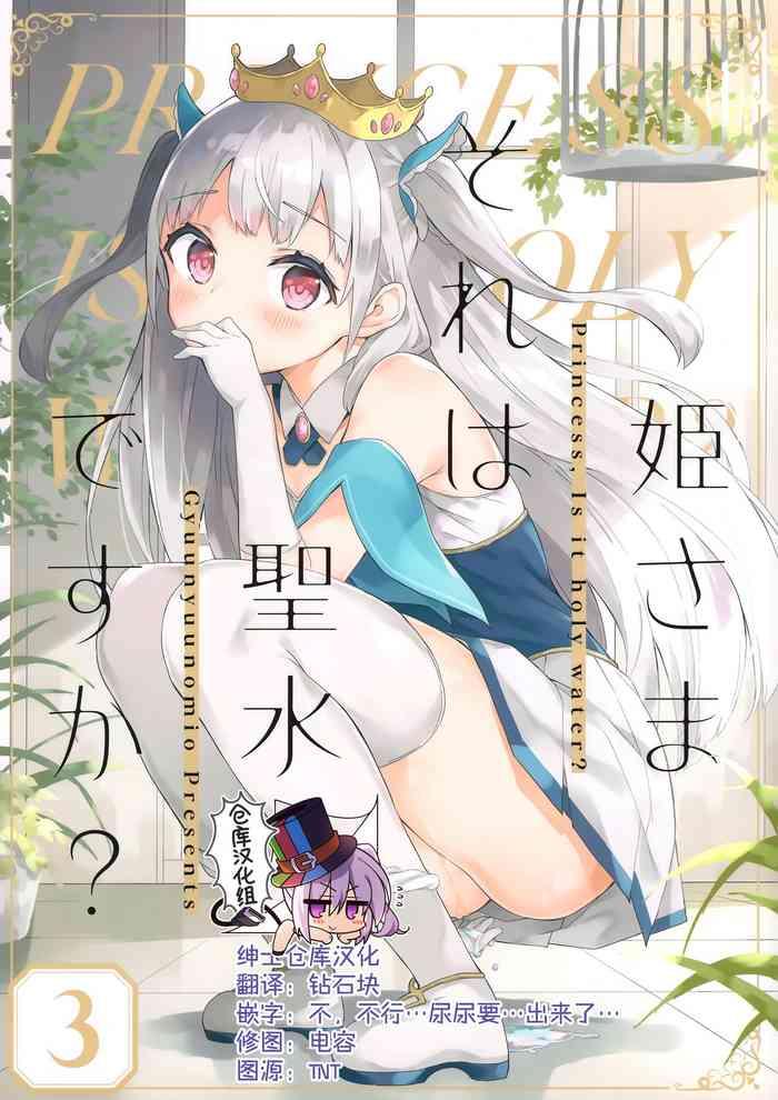 hime sama sore wa seisui desu ka 3 cover