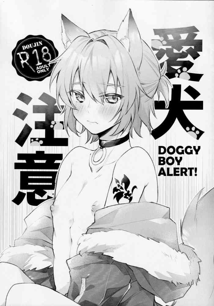 aiken chuui doggy boy alert cover