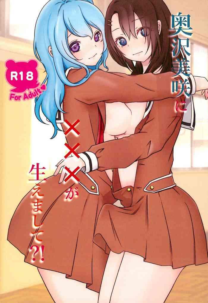 okusawa misaki ni xxx ga haemashite cover