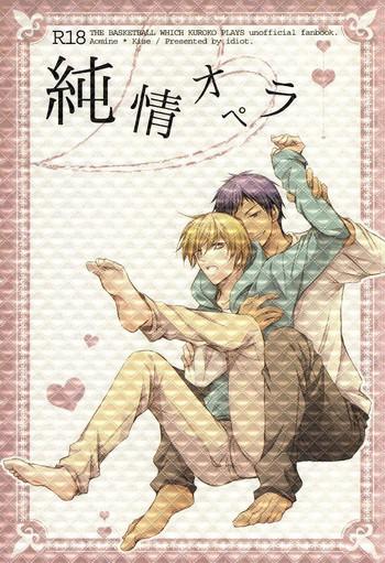 junjou opera cover